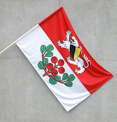 Flagge für den Außenbereich der Gemeinde Rynoltice